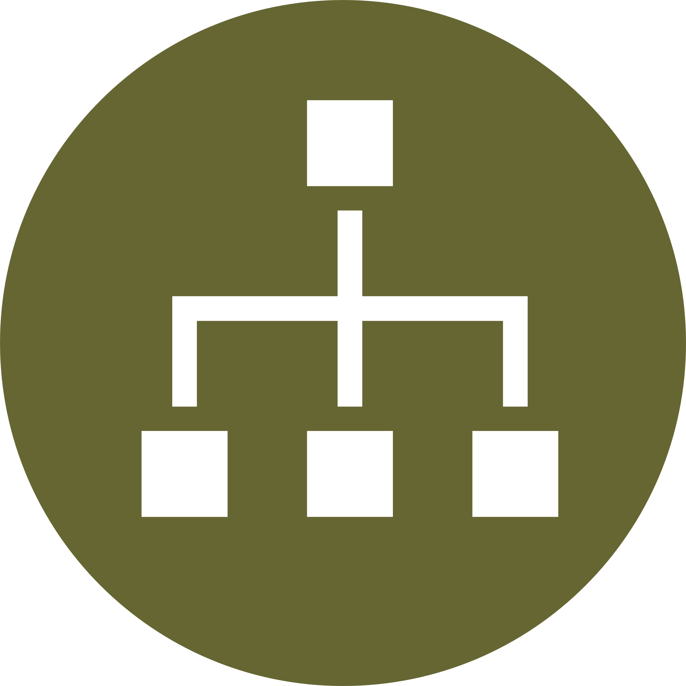 organization